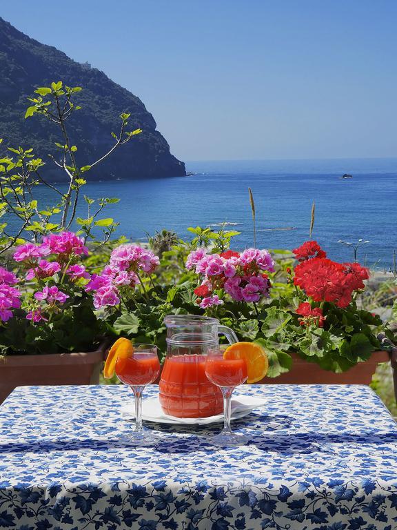 Casa Del Sole Forio di Ischia